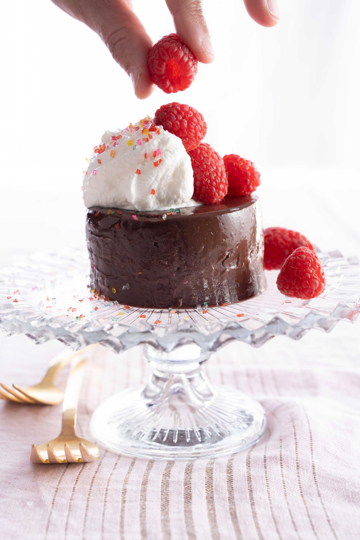 Chocolate and Honey Panna Cotta