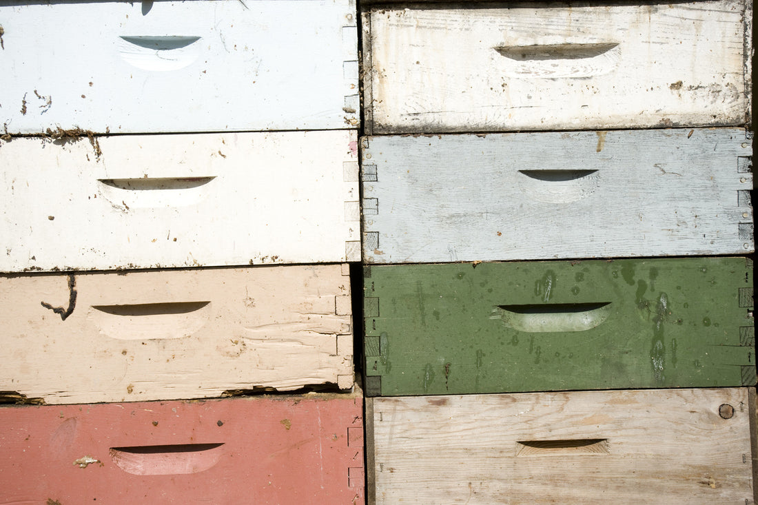 bee-box-stack-how-to-raise-bees-summer-tips
