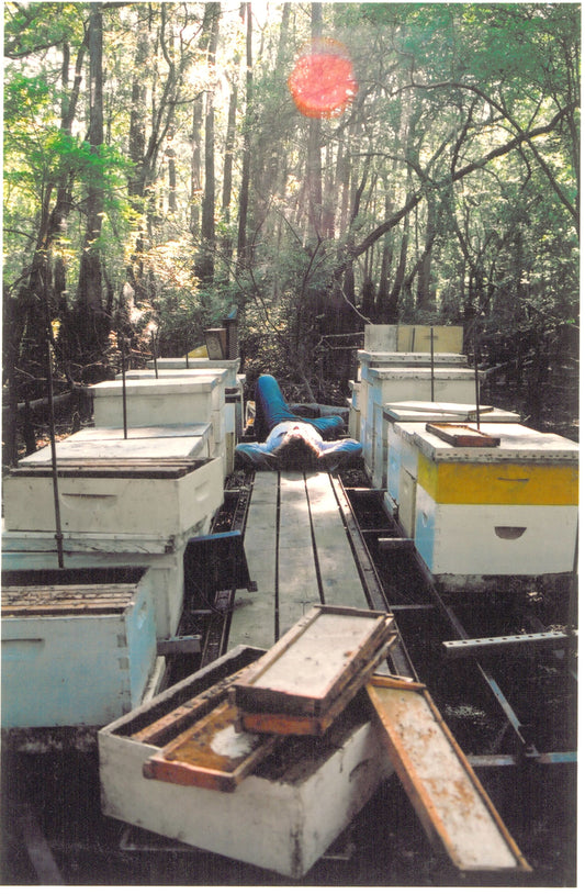 ted-dennard-laying-among-hives-in-the-tupelo-swamp