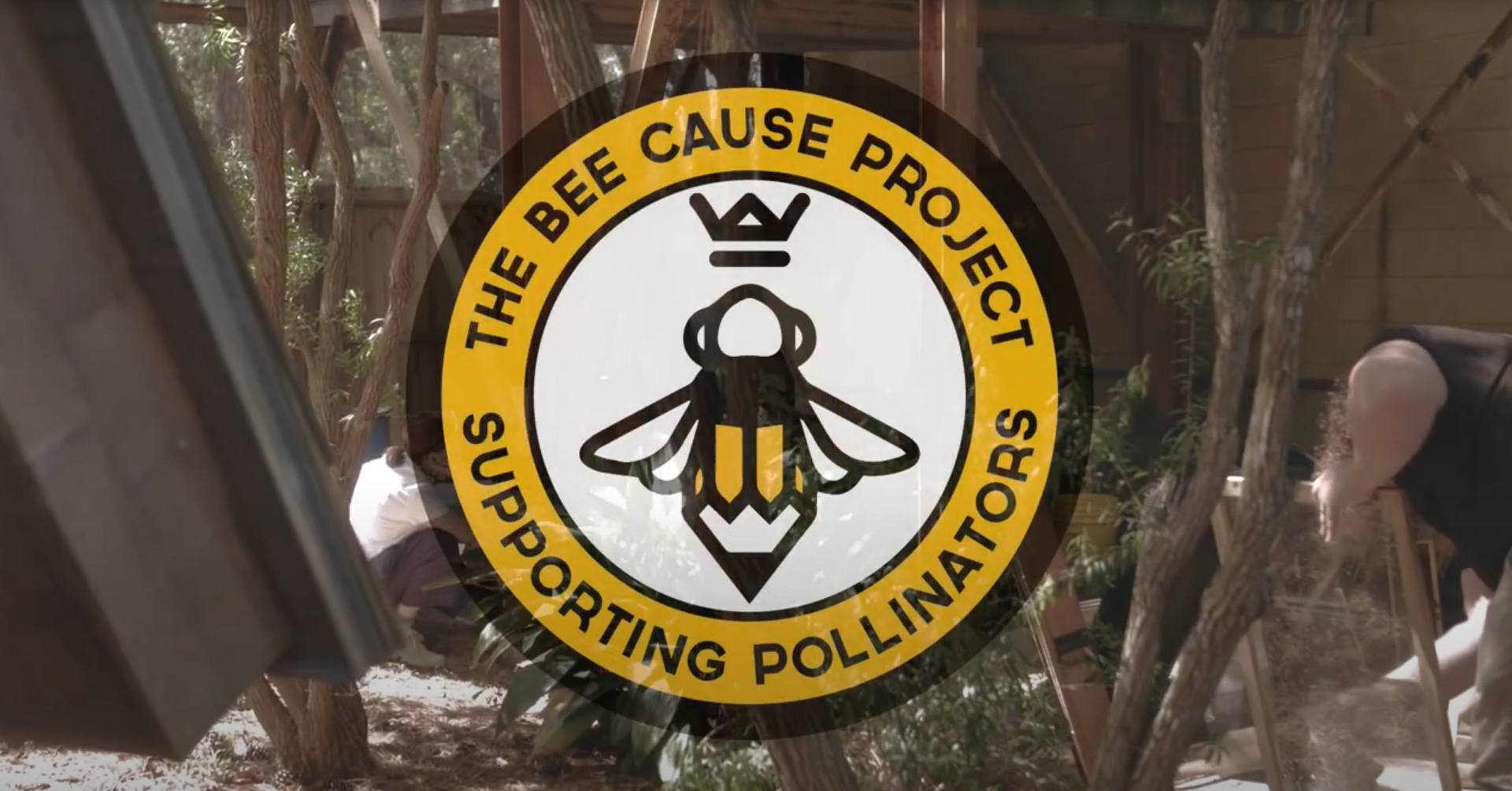 Load video: Bee Cause Honey
