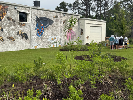 BeeTopia - Savannah, GA