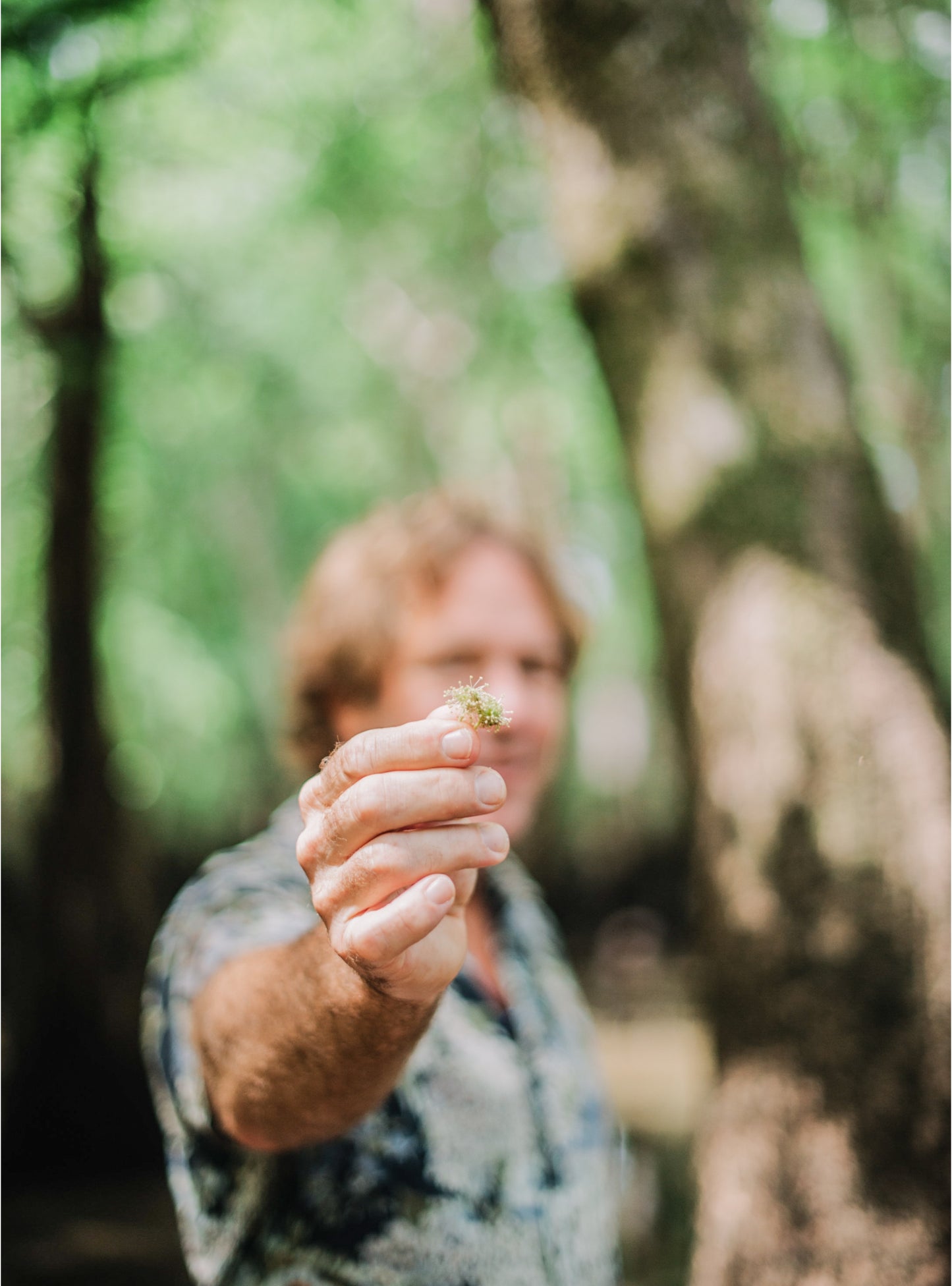 Savannah Bee Company founder Ted Dennard in a tupelo swamp holding a tupelo bloom.