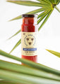 Saw Palmetto Hony 12 ounce with palmetto branches.