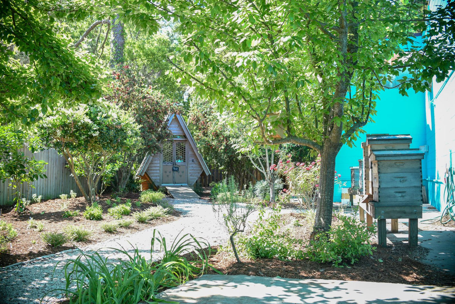 How to Build a Pollinator-Friendly Garden – Savannah Bee Company