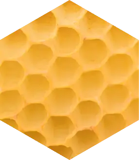 Procopolis Propolis: The Protective Resin Bees Make | Savannah Bee Company