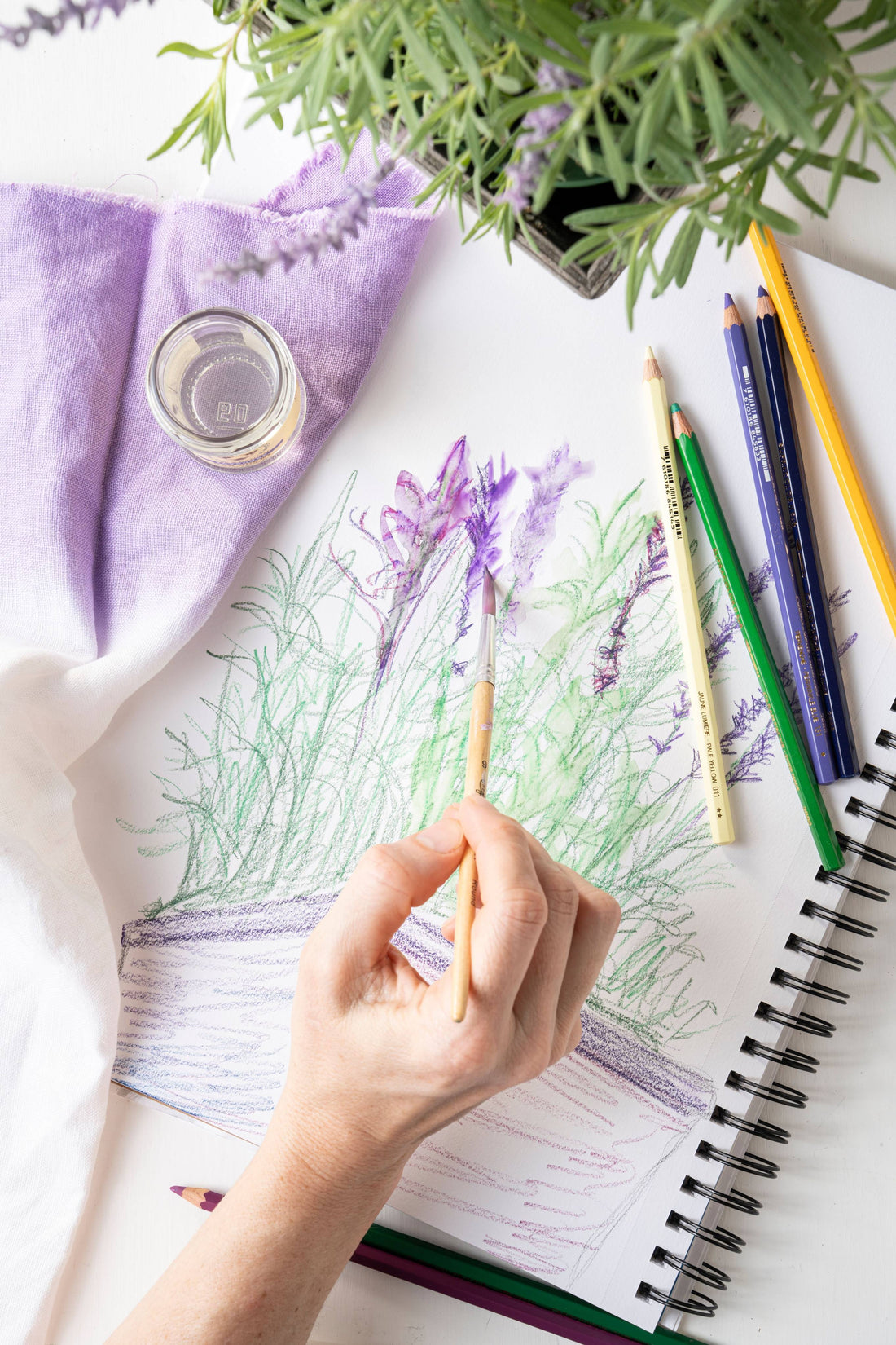 Supplies for a shadow drawing activity, lavender plant, notebook, and colored pencils.