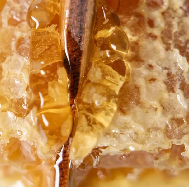 Why Honey Crystallizes