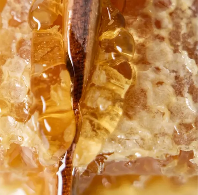 Why Honey Crystallizes