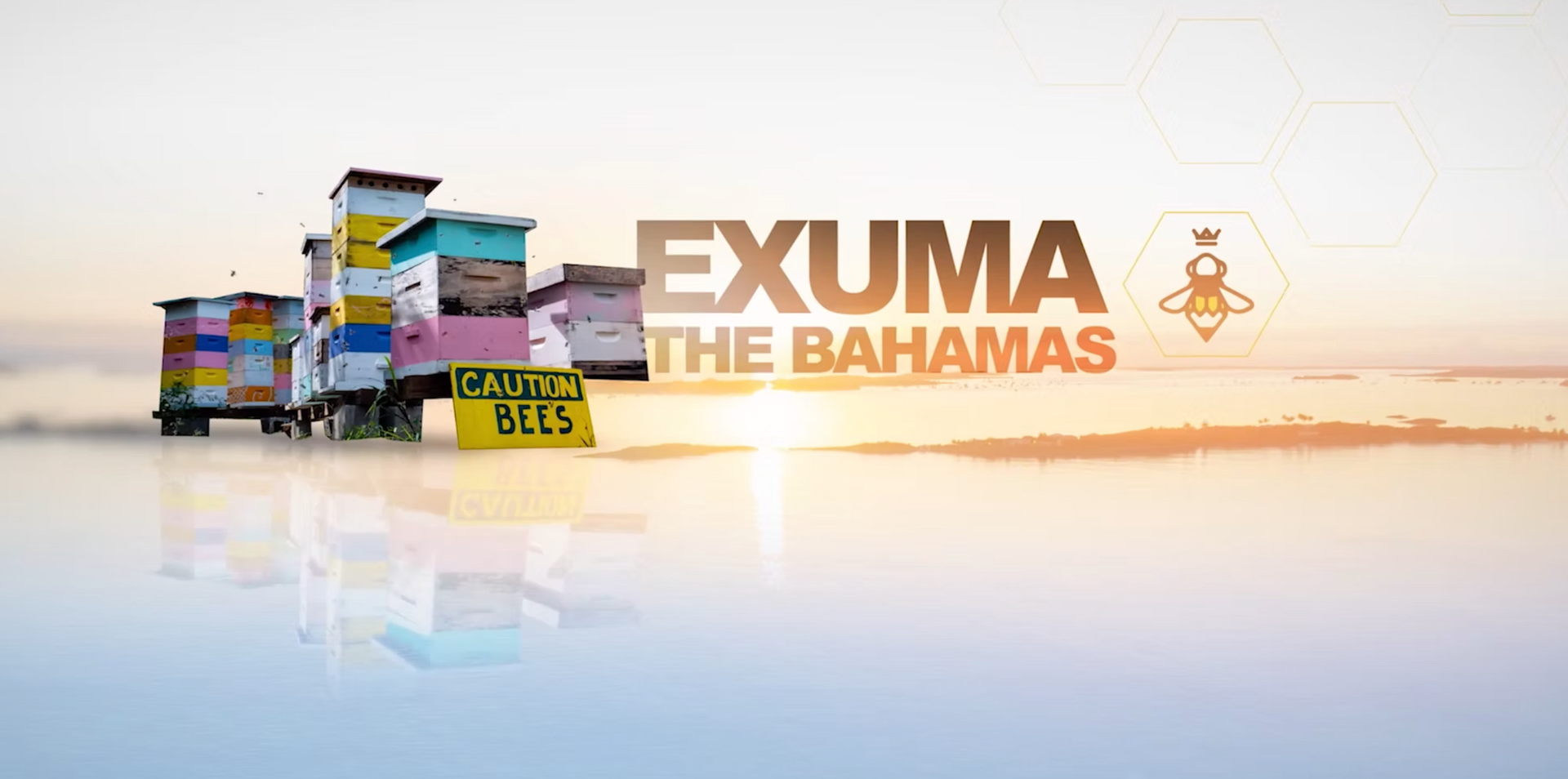 Load video: The Exuma Project