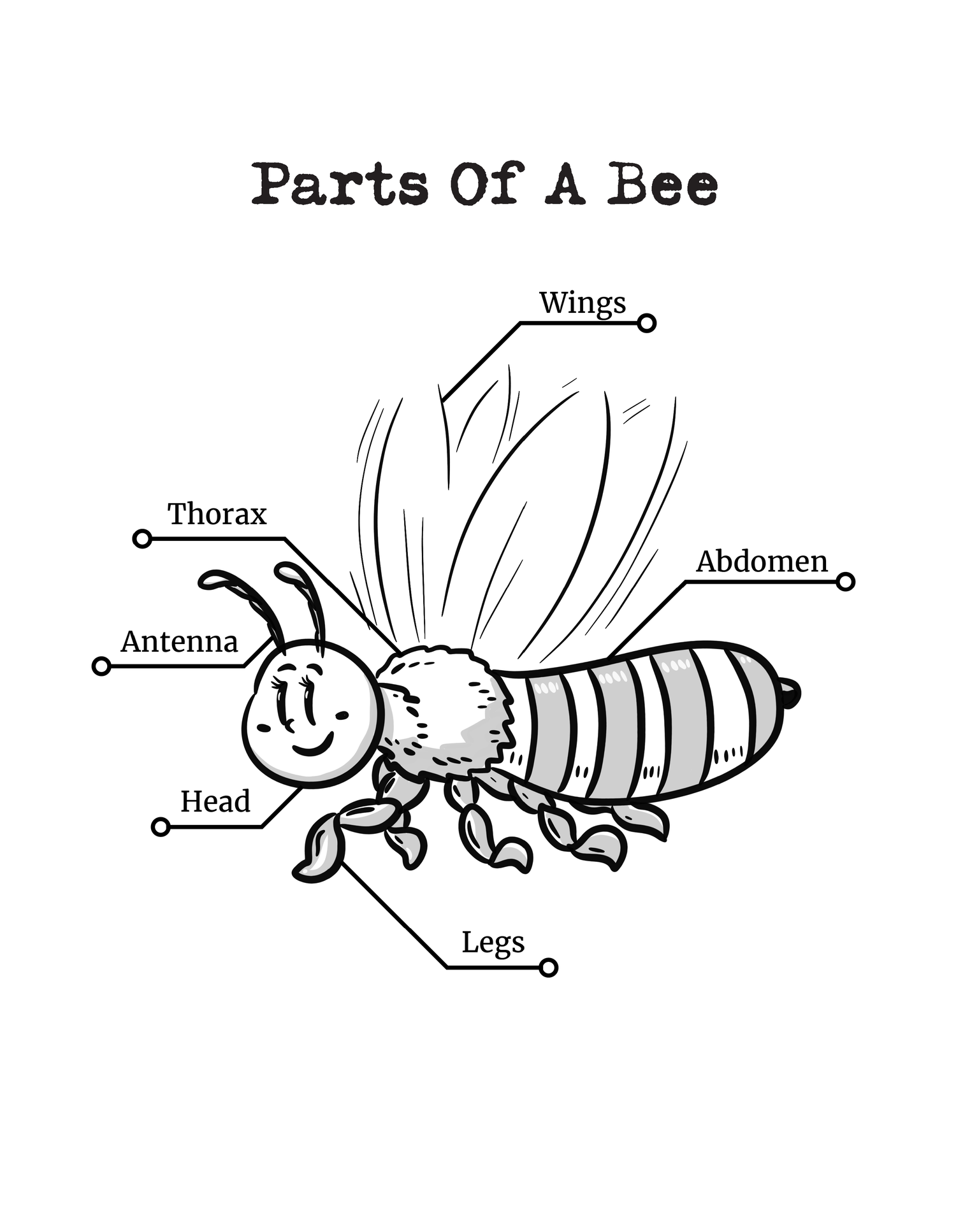 Okee Bear's Coloring Storybook