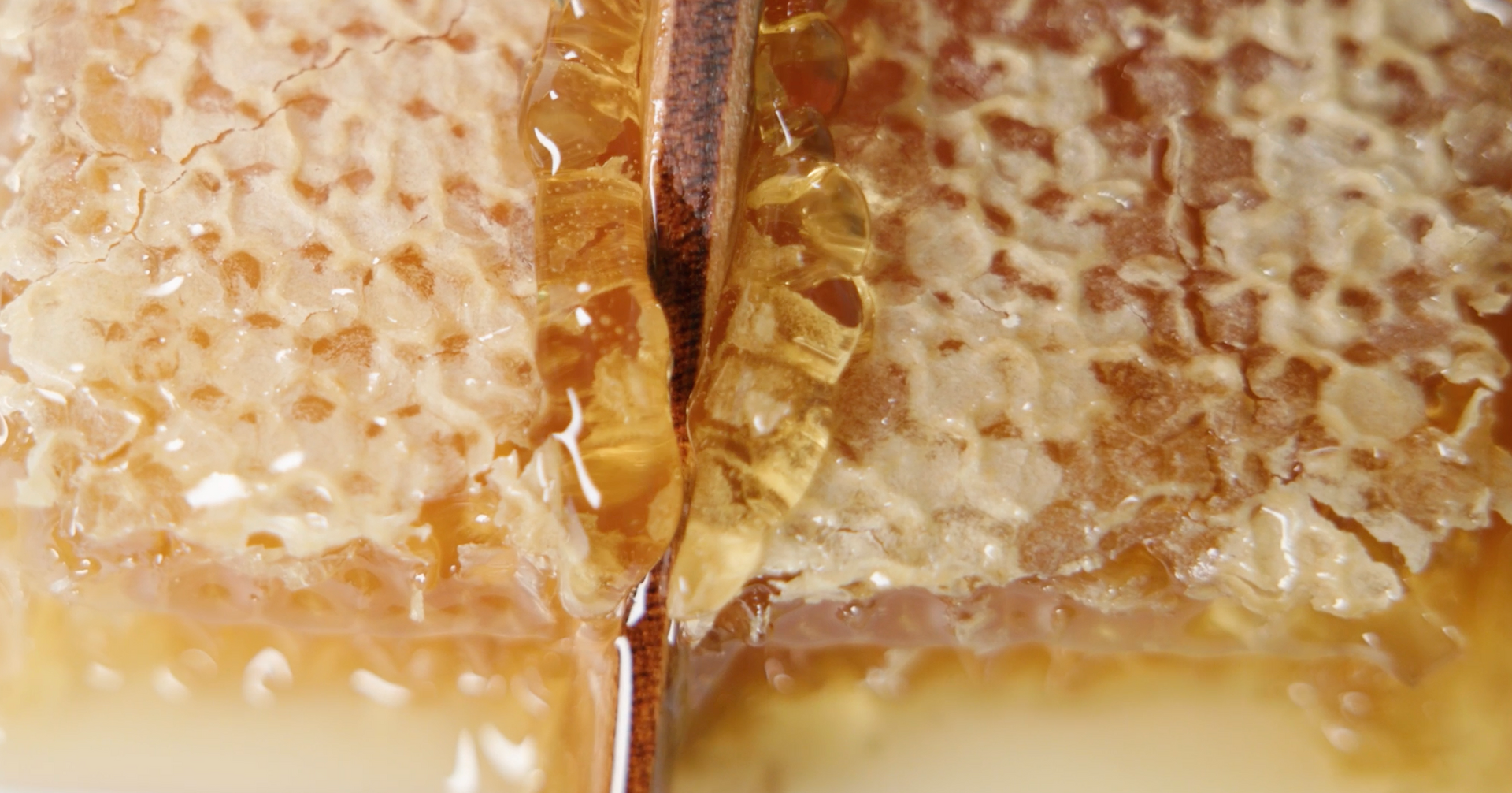Load video: Cordial Honeycomb Gift
