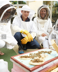 Round Up for The Bee Cause