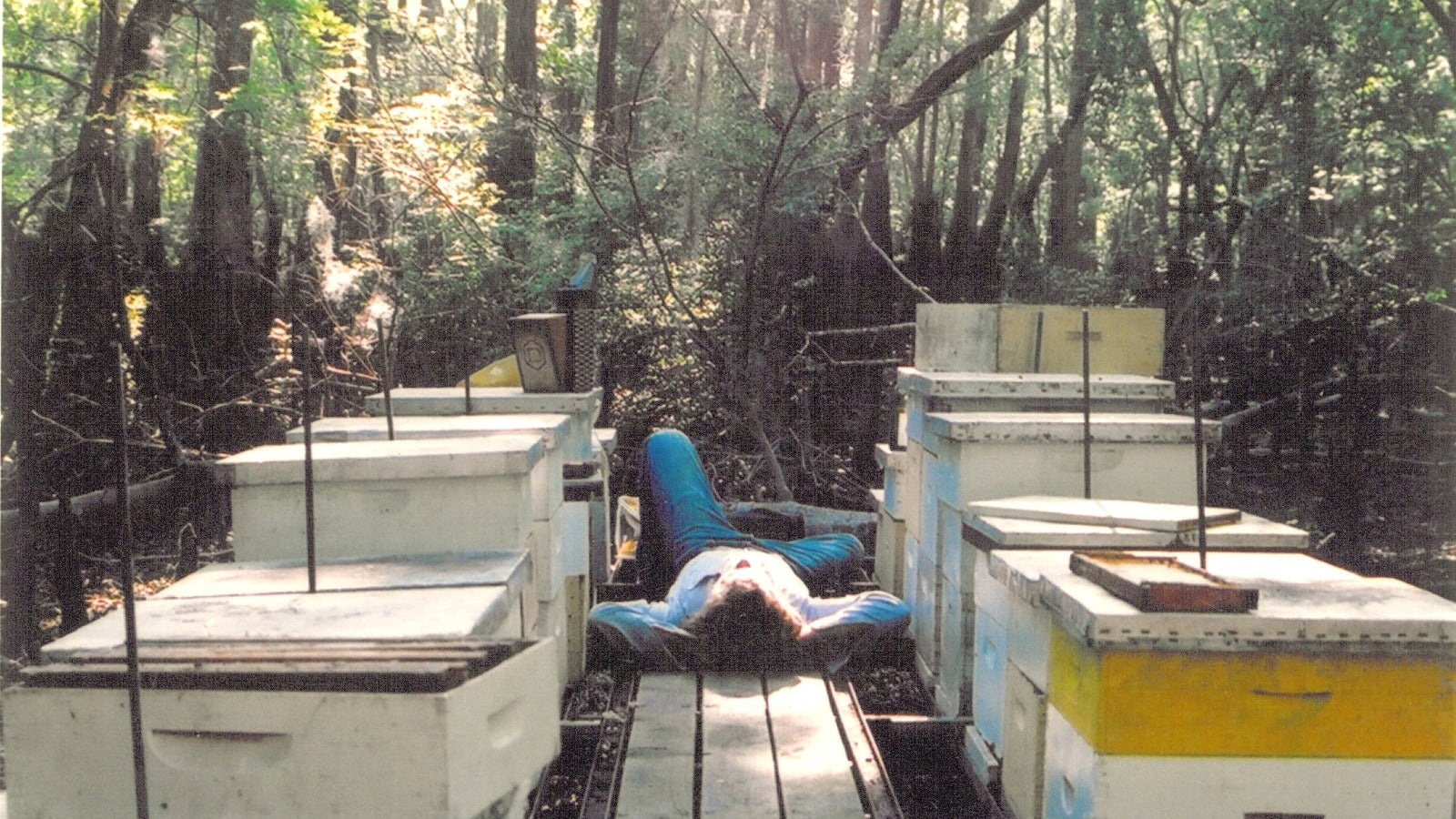 Load video: Video about Savannah Bee Company, Ted (owner) and team