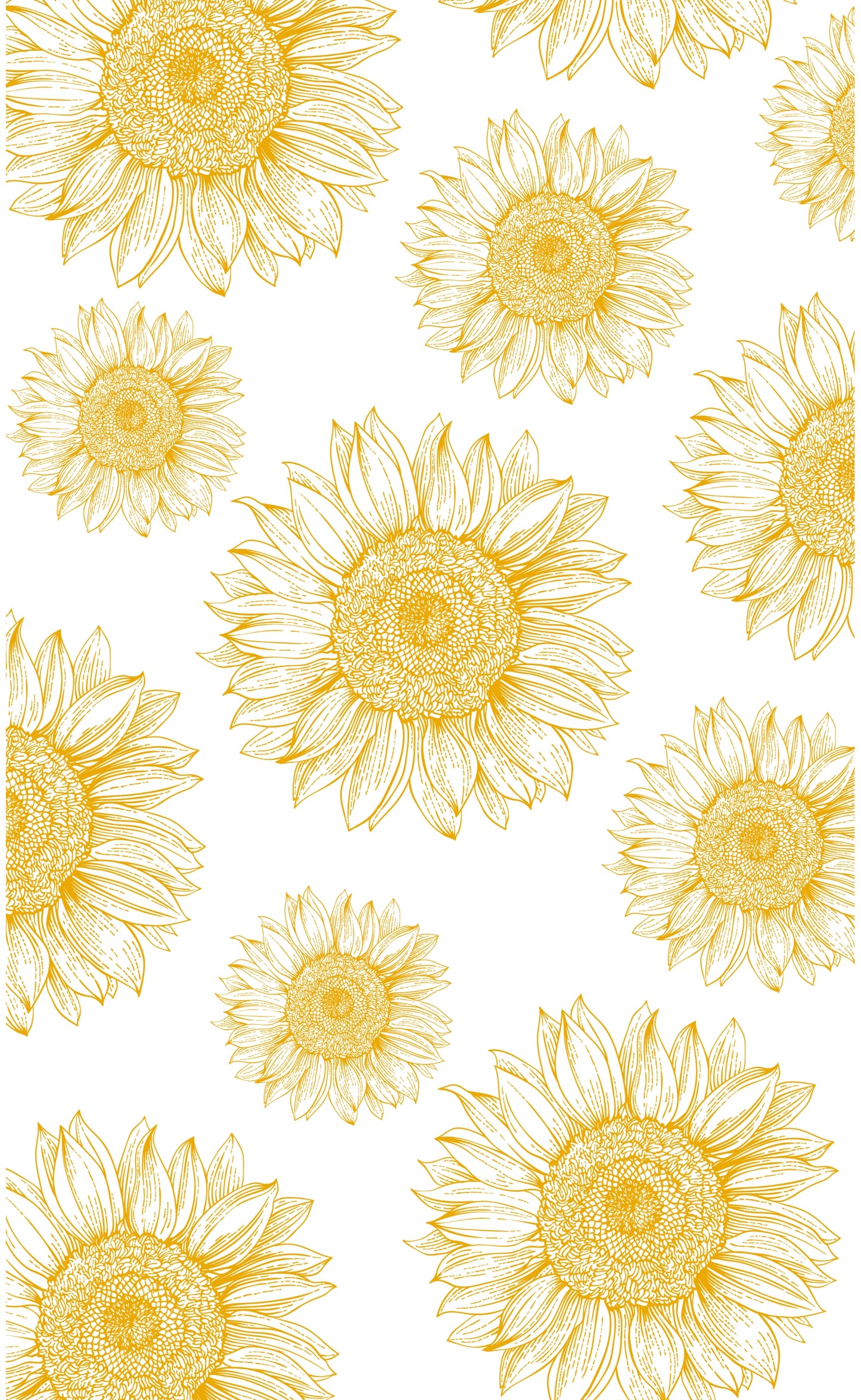 Free Sunflower Wallpaper Download