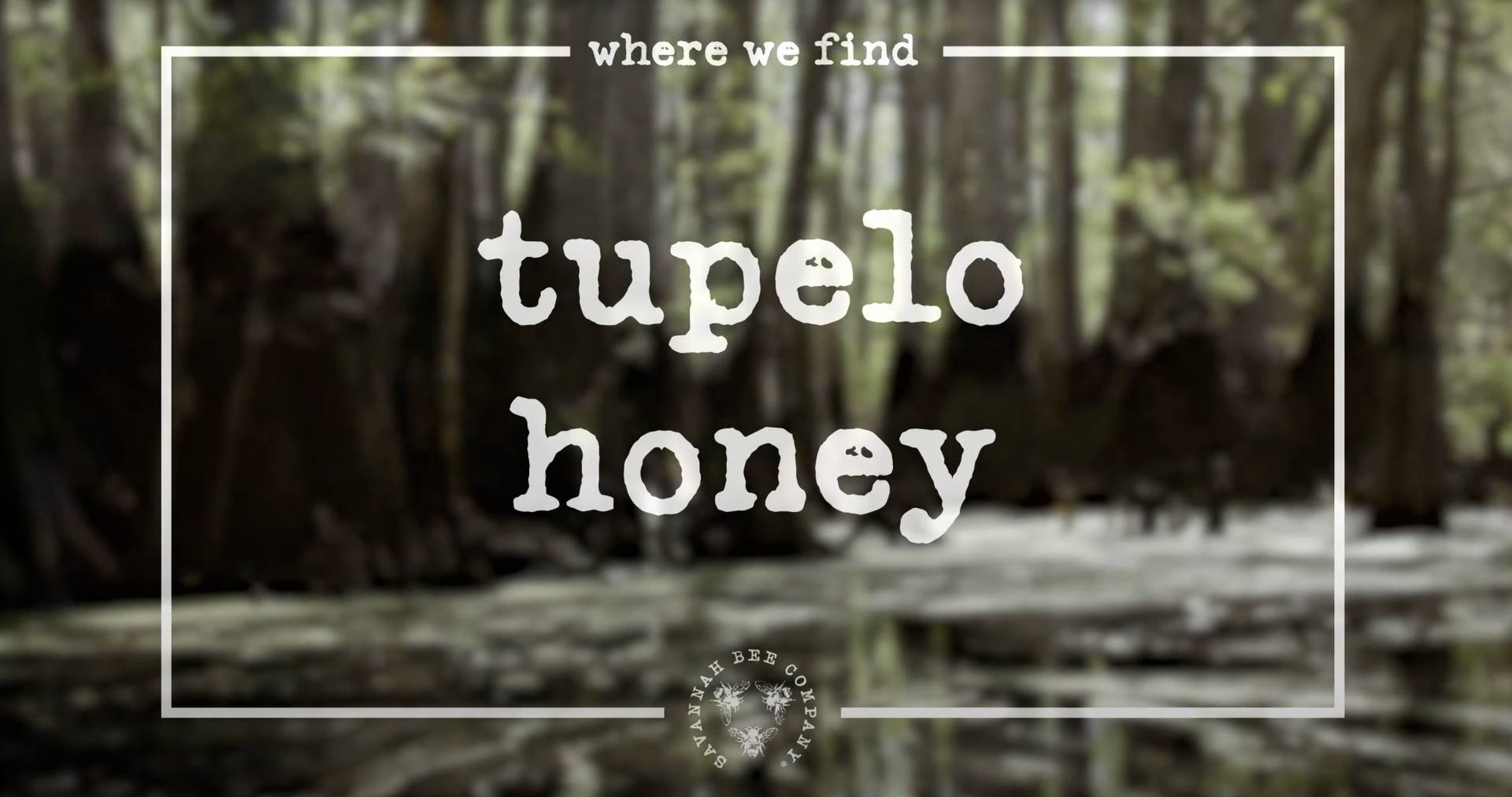 Load video: Tupelo Honey