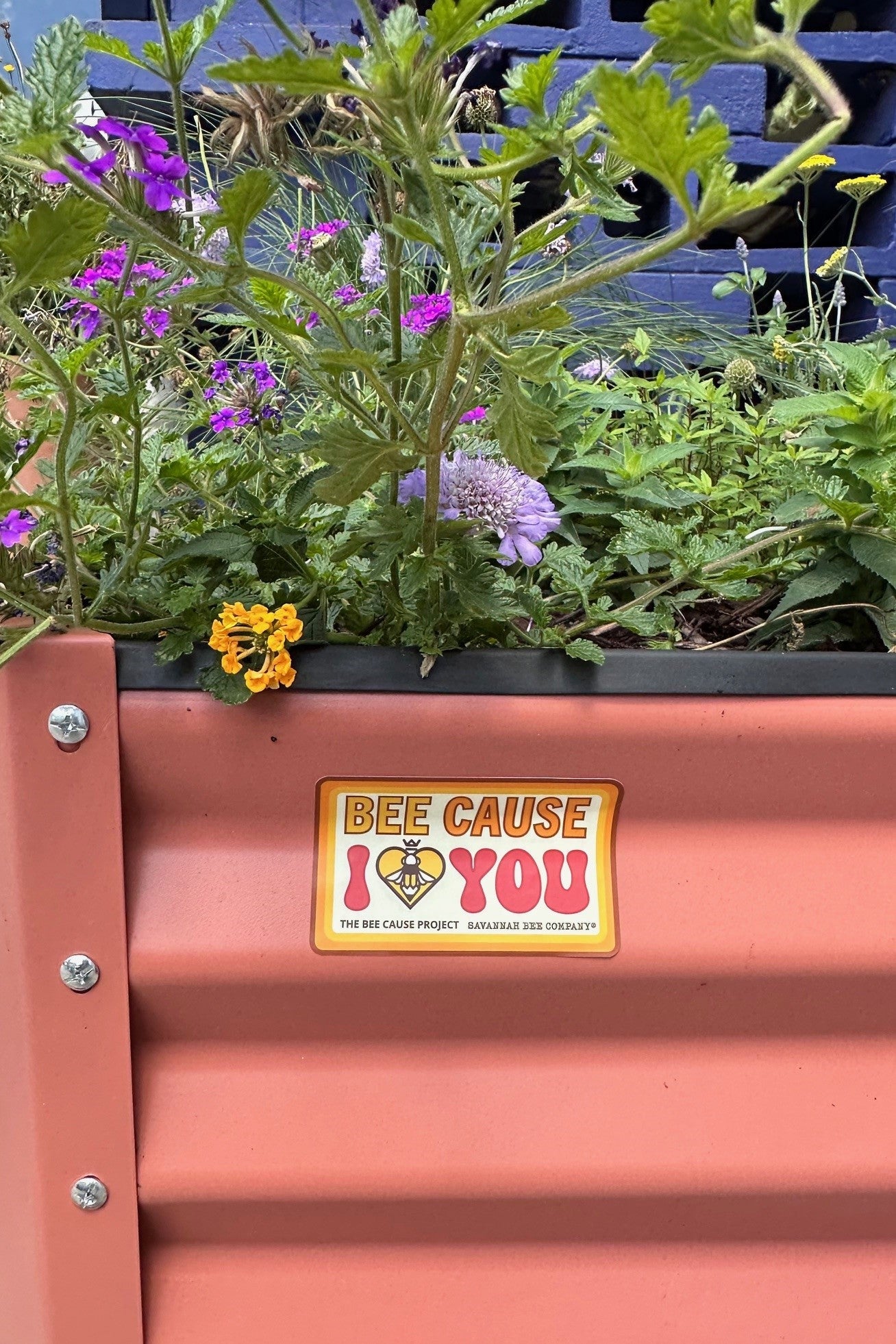 Bee Cause I love bee cause sticker on a planter of flowers 