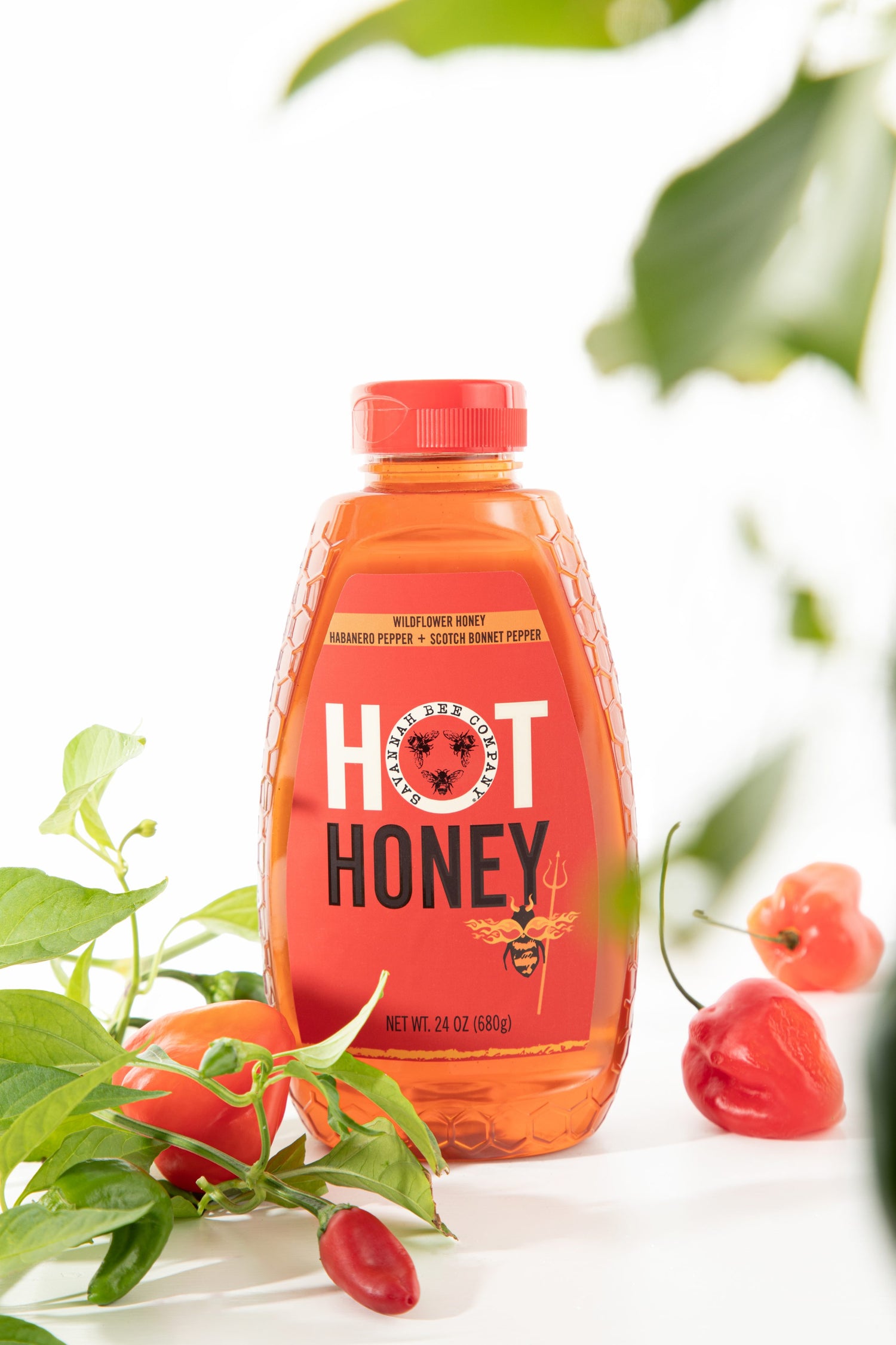 Hot Honey 24oz