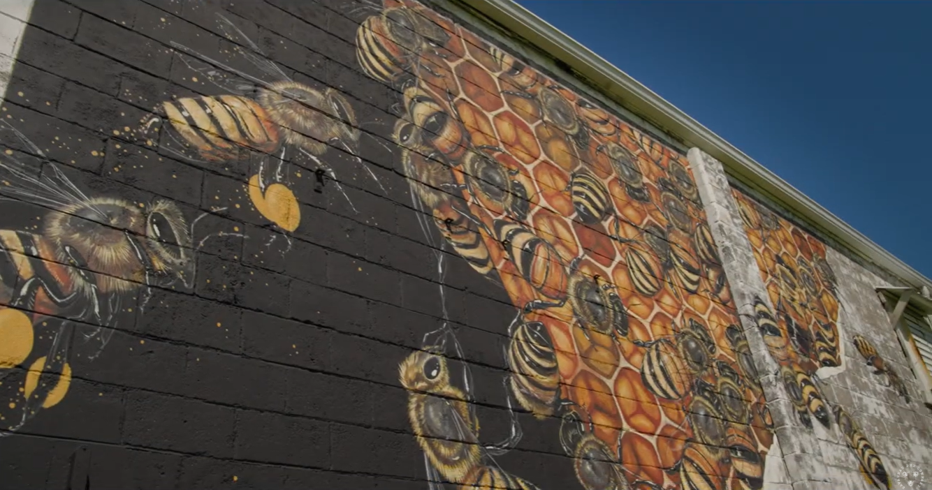 Load video: Video about Savannah Bee Company, Ted (owner) and team