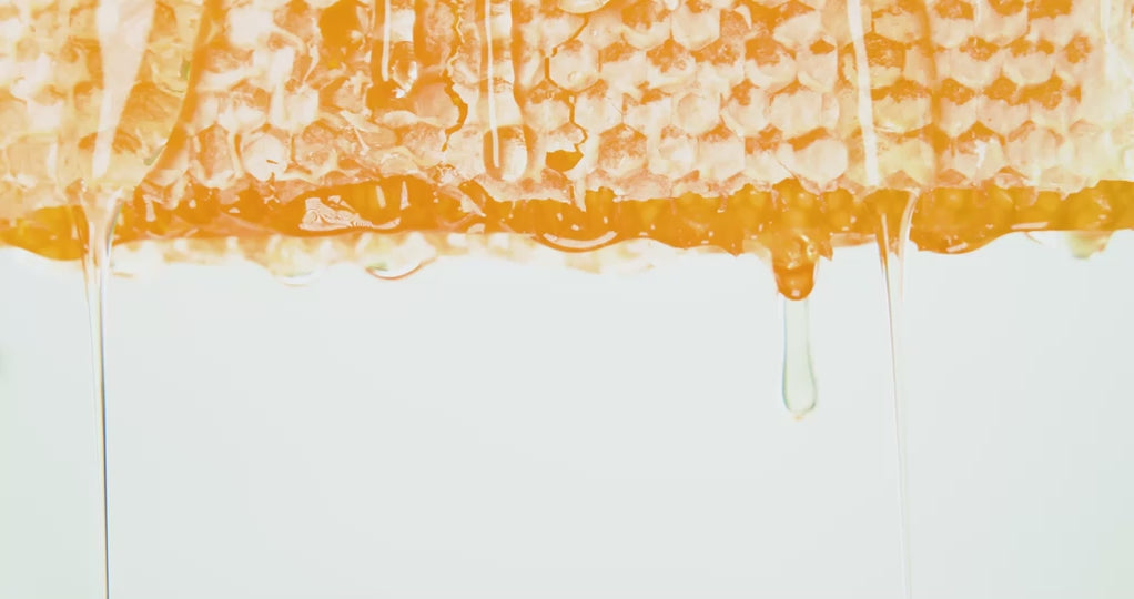 Load video: Video about Savannah Bee Company, Ted (owner) and team