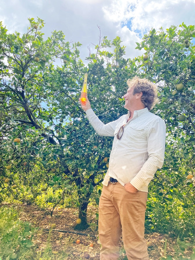 Savannah Bee Company Founder Ted Dennard holding and Orange Blossom Gold Reserve flute in an orange grove